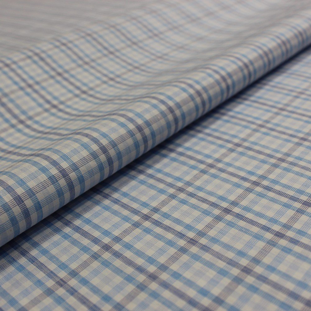 Blue & white checkered checks (RT-1061)