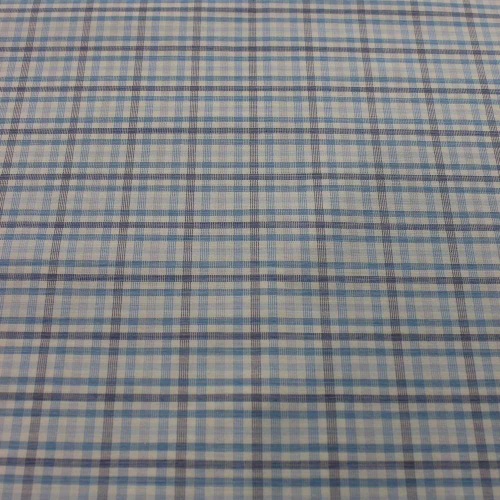 Blue & white checkered checks (RT-1061)